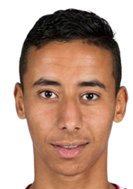 阿纳斯·萨拉赫-埃丁